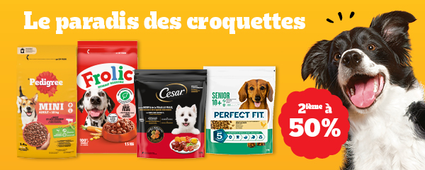 26MAR2610027_PETCARE_Dry_banner_ITM_600x240_FR