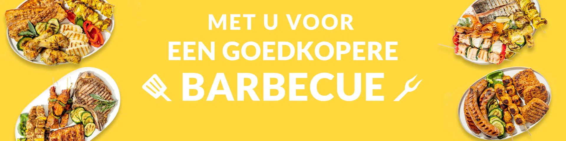 S17-2025_BANNER-HP_FAVP NL