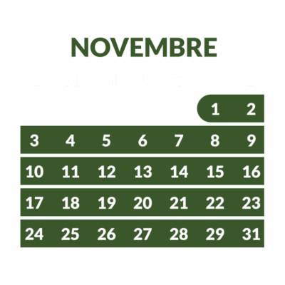 2025-S44_cheques-noel_novembre FR