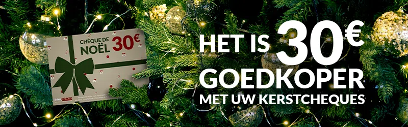 2025-S47_FDA_cheques noel NL