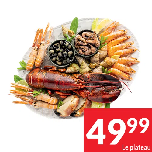 2025-S47_plateaux 01 FR 2025-S47_plateaux 01 FR