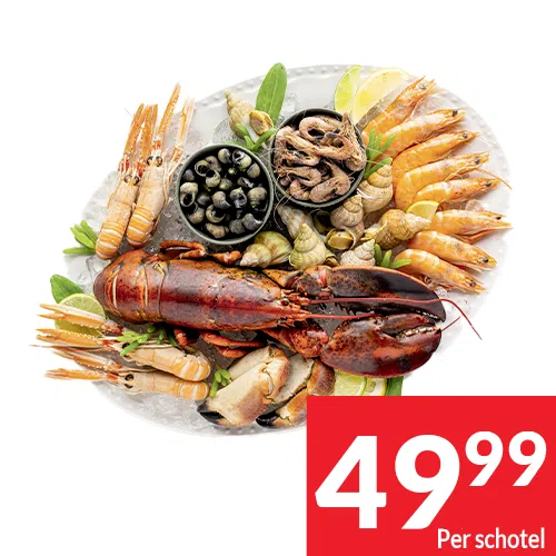 2025-S47_plateaux 01 NL