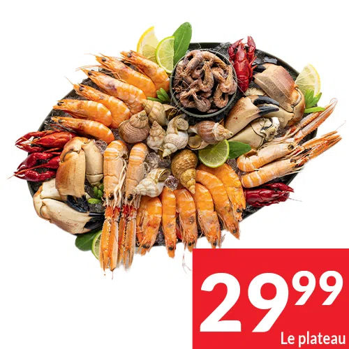 2025-S47_plateaux 02 FR 2025-S47_plateaux 02 FR