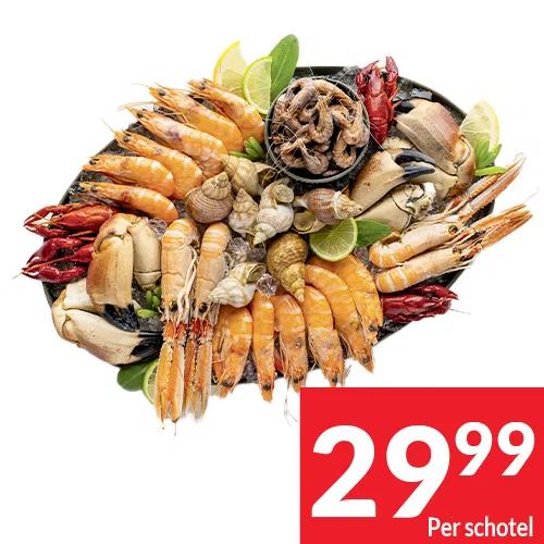 2025-S47_plateaux 02 NL