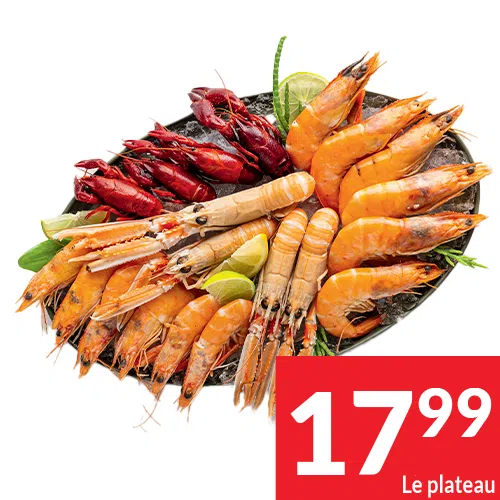 2025-S47_plateaux 03 FR 2025-S47_plateaux 03 FR