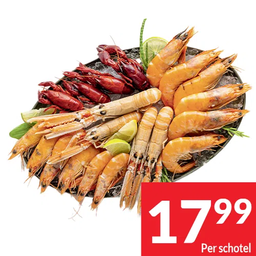 2025-S47_plateaux 03 NL