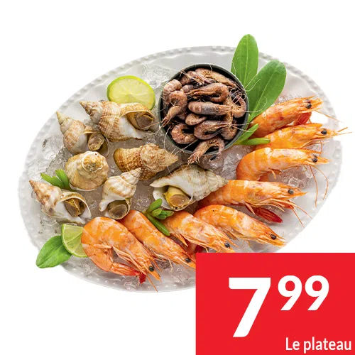 2025-S47_plateaux 04 FR 2025-S47_plateaux 04 FR