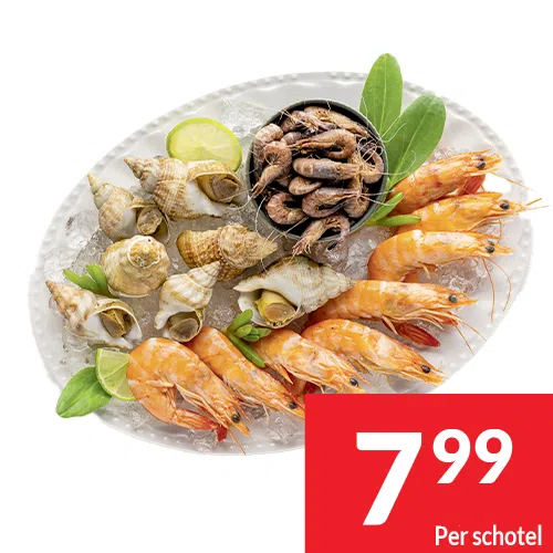 2025-S47_plateaux 04 NL