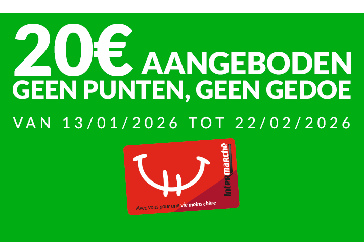 2026-S03_BANNER-HP_BigBang NL M