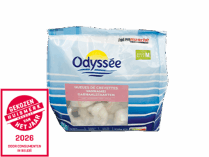 Odyssée