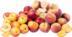 Perziken of Nectarines